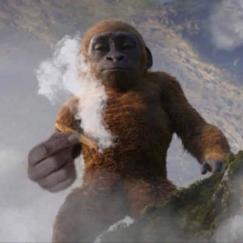 freeстайл 14 лет да (prod. greyrock, owleeng)