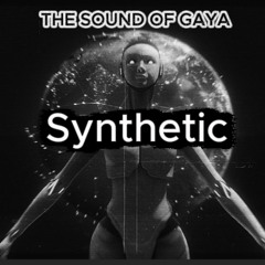 The Sound of Gaya - Synthetic (Original Mix)