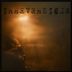 Swallow The Moon - I R R E V E R S I B L E (single)