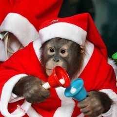 Ricciodasosa merry christmas drill