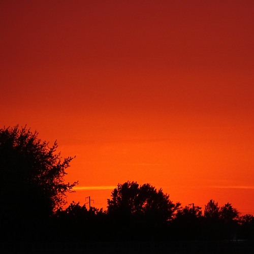 Marco Lucchi w/ how the night came - Pieces [Naviar Haiku # 383]