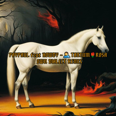 PAYPAUL feat HOWDY -🤦‍♂️TANTUM🌹ROSA [OWN DIALECT REMIX]