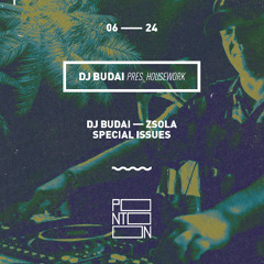 DJ Budai@pontoon live House set 2025/06