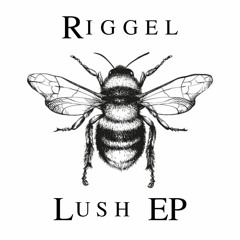 TH308 Riggel_ Our Sky
