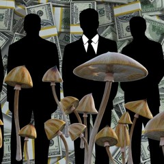 The 'Psychedelic Renaissance' Is Entirely About Corporate Greed