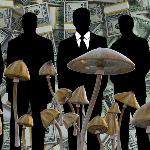 The 'Psychedelic Renaissance' Is Entirely About Corporate Greed