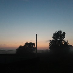 Vargadelic - Horsedelic.mp3