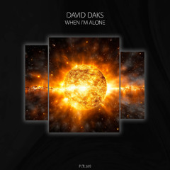 David Daks - When I'm Alone [PLTL389]