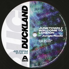 Jungle Rootz - Welcome To London (Free Download)