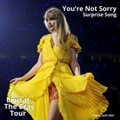 You're Not Sorry (Live at The Eras Tour)