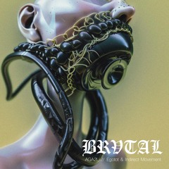 BRVDIGI006 - AGA2L - Csiripcsirip