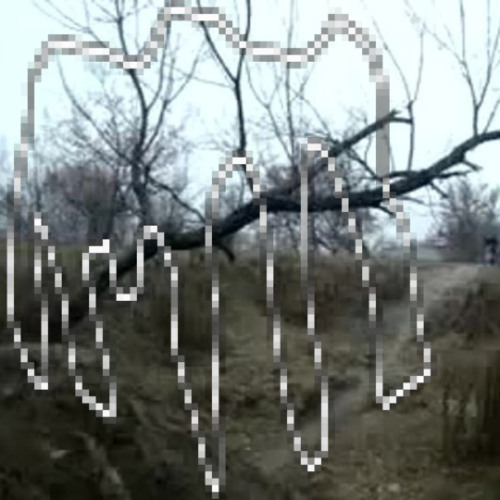 ⚜𝕧𝕖𝕣𝕖 𝕞𝕠𝕣𝕥𝕖𝕞⚜ #𝓶𝓸𝓻𝓽𝓮𝓶_𝓷𝓸𝓽𝓪 #𝓴𝓾𝓵𝓽 [vuksai negative creeper]