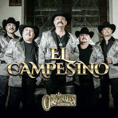 Chicano Jalicience