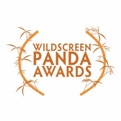 Panda Awards 2024 Rules And Guidelines