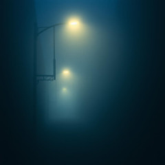 Lost in Shadows