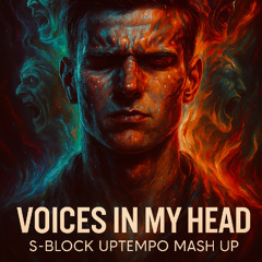 Voices in my head - S-Block Uptempo mash up