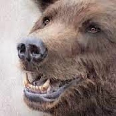 Björn håll käften