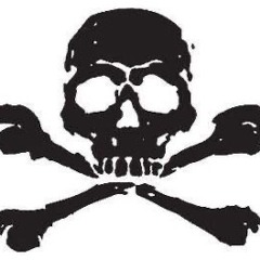 Roi Hardstyle - Velours (Super Slowed)