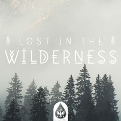Lost In The Wilderness ↟ - An Indie/Folk/Alternative Playlist