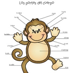 Monkey Parts