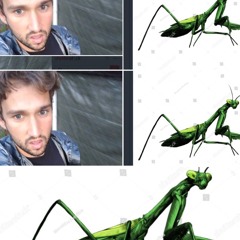 mantis (prod. nejdos)