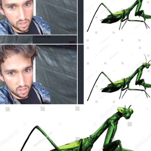 mantis (prod. nejdos)