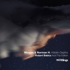 PREMIERE: Moojaa & Norman H - Hidden Depths {Robert Babicz Acid Trip Edition} Stripped Recordings