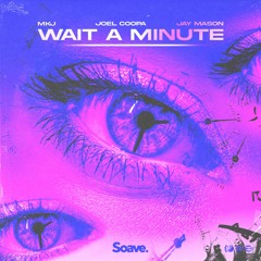 MKJ, Joel Coopa & Jay Mason - Wait A Minute