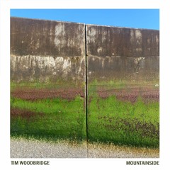 Tim Woodbridge - Mountainside