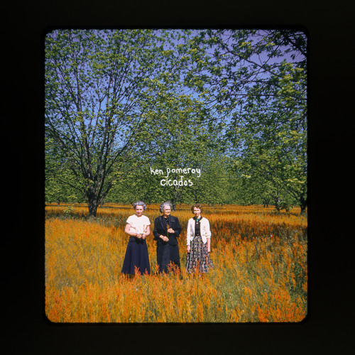 Cicadas (Alt. Version)