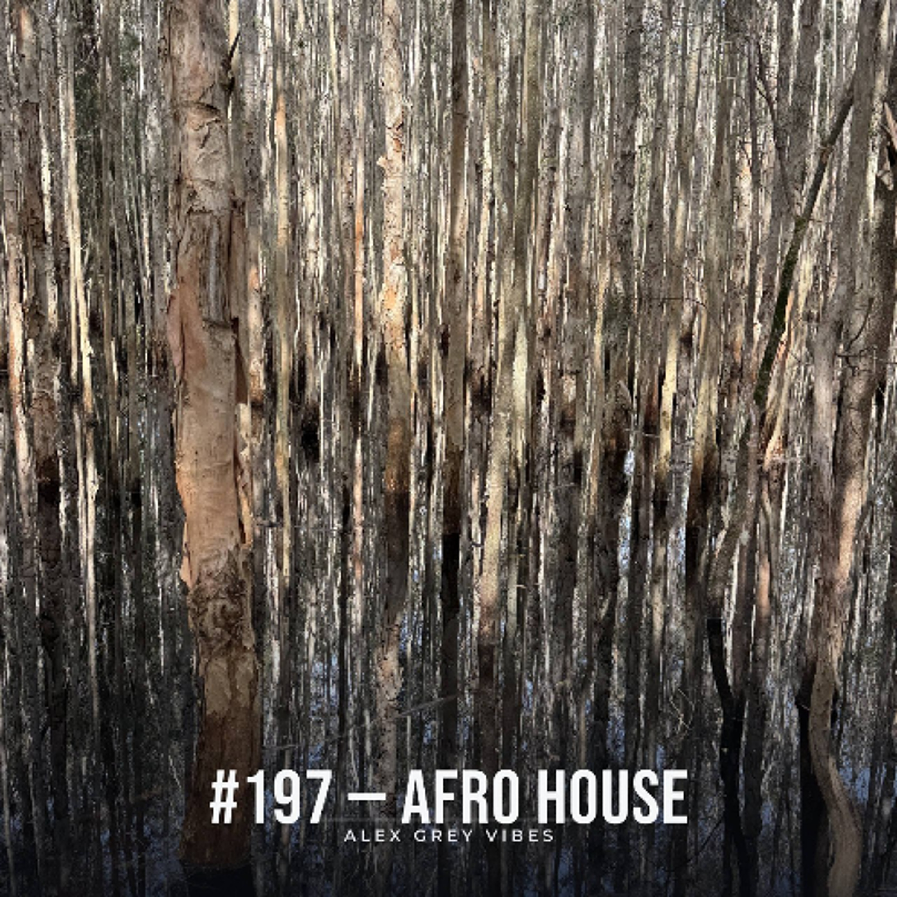#197 - Afro House episode artwork