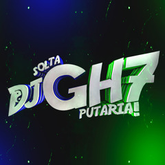 ANIVERSARIO DA 17 ( 2024 ) DJ GH7 MC DANFLIN