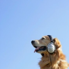 ultima noche de el viernes