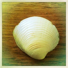 Elpierro - Baracuta Bay (2014 - 2024 Rework)