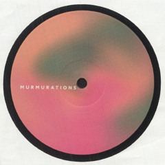 PREMIERE: Leo Christopher - 080 [Murmurations]