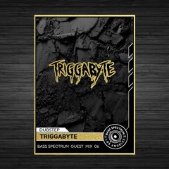 Guest Mix 06- Triggabyte