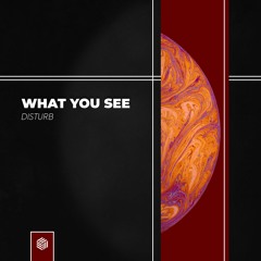 DISTURB - What You See