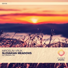 Miroslav Vrlik - Slovakian Meadows (Original Mix) [ESH185]
