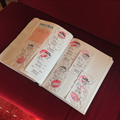 Tyler McGillivary | 2025 NYFW Fall/Winter Runway Show | Date Night