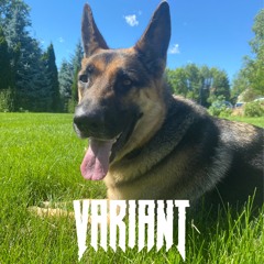 VARIANT DUBZ MINI MIX 03