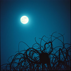 Midnight Spiral