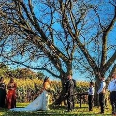 Grow old with you (wedding cover)