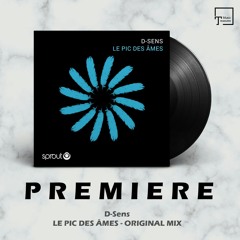 PREMIERE: D-Sens - Le Pic Des Âmes (Original Mix) [SPROUT]