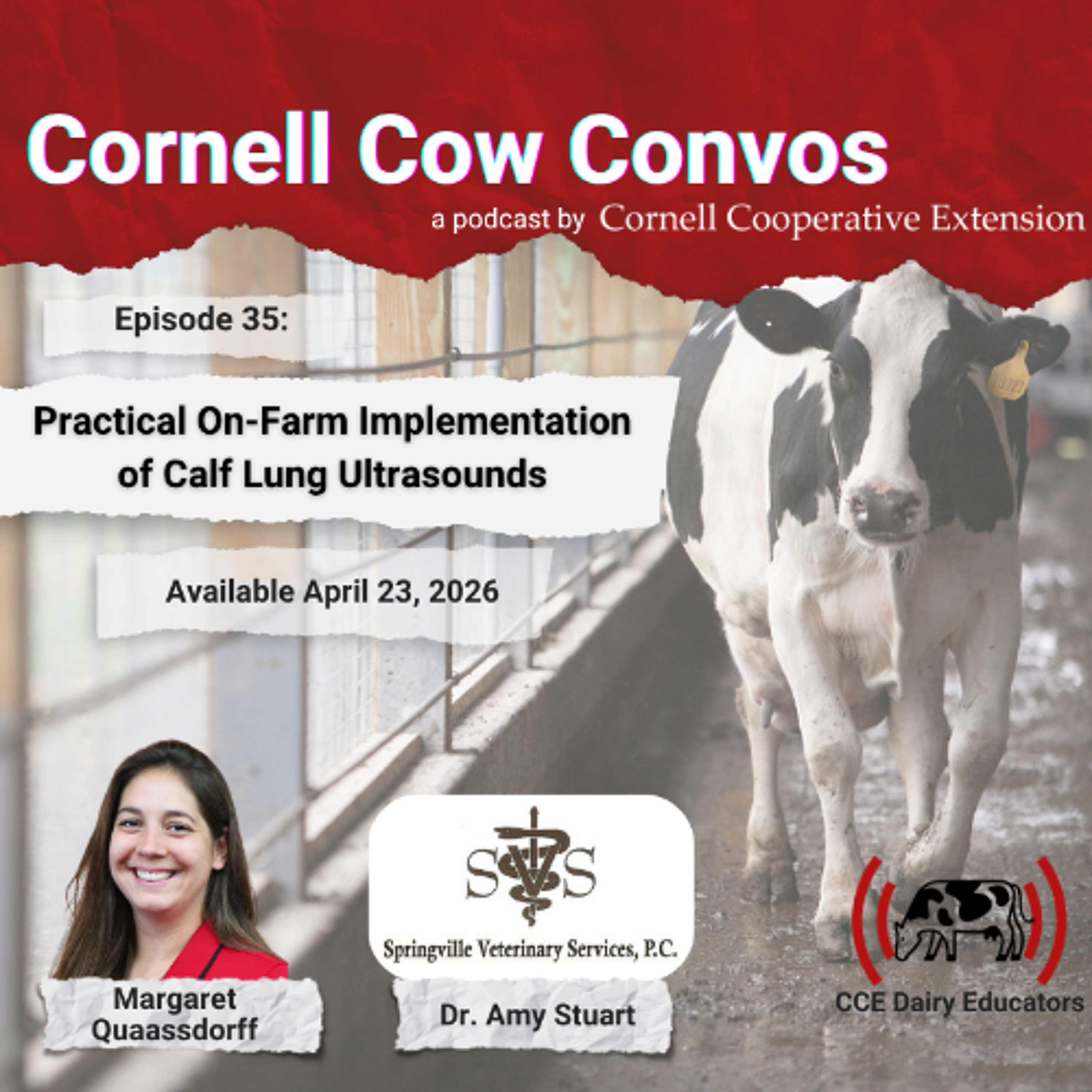 CCE DAIRY EDUCATORS