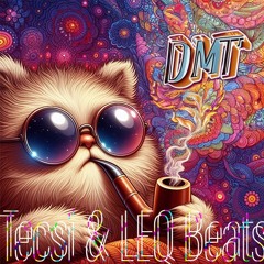 DMT (Tecsi & LEQ Beats)