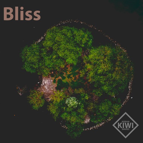 Bliss - [CLIP]