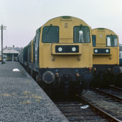 BR Type 1s & Type 2s on passenger workings 😎 featuring Class 20s, 25s & 26s
