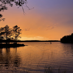 Veronica Maggio- Sergels Torg (sped up)