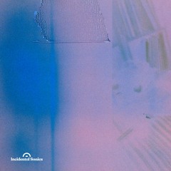 [Premiere] Reuben Falle - Søren (out on Incidental Sonics)