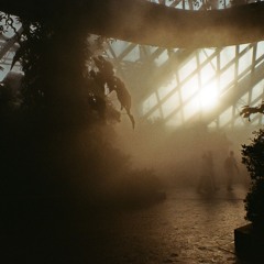 Field Loop (all we have is now)